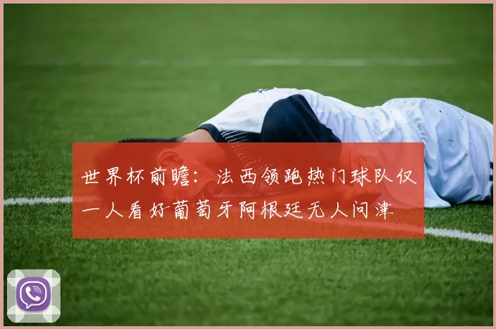 世界杯前瞻：法西领跑热门球队仅一人看好葡萄牙阿根廷无人问津