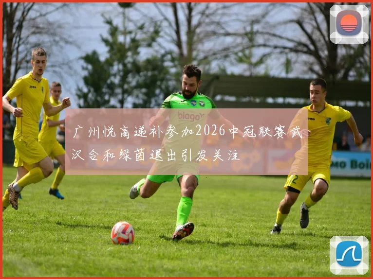 广州悦高递补参加2026中冠联赛武汉合和绿茵退出引发关注